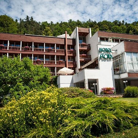 Hotel Flora Trenčianske Teplice Extérieur photo